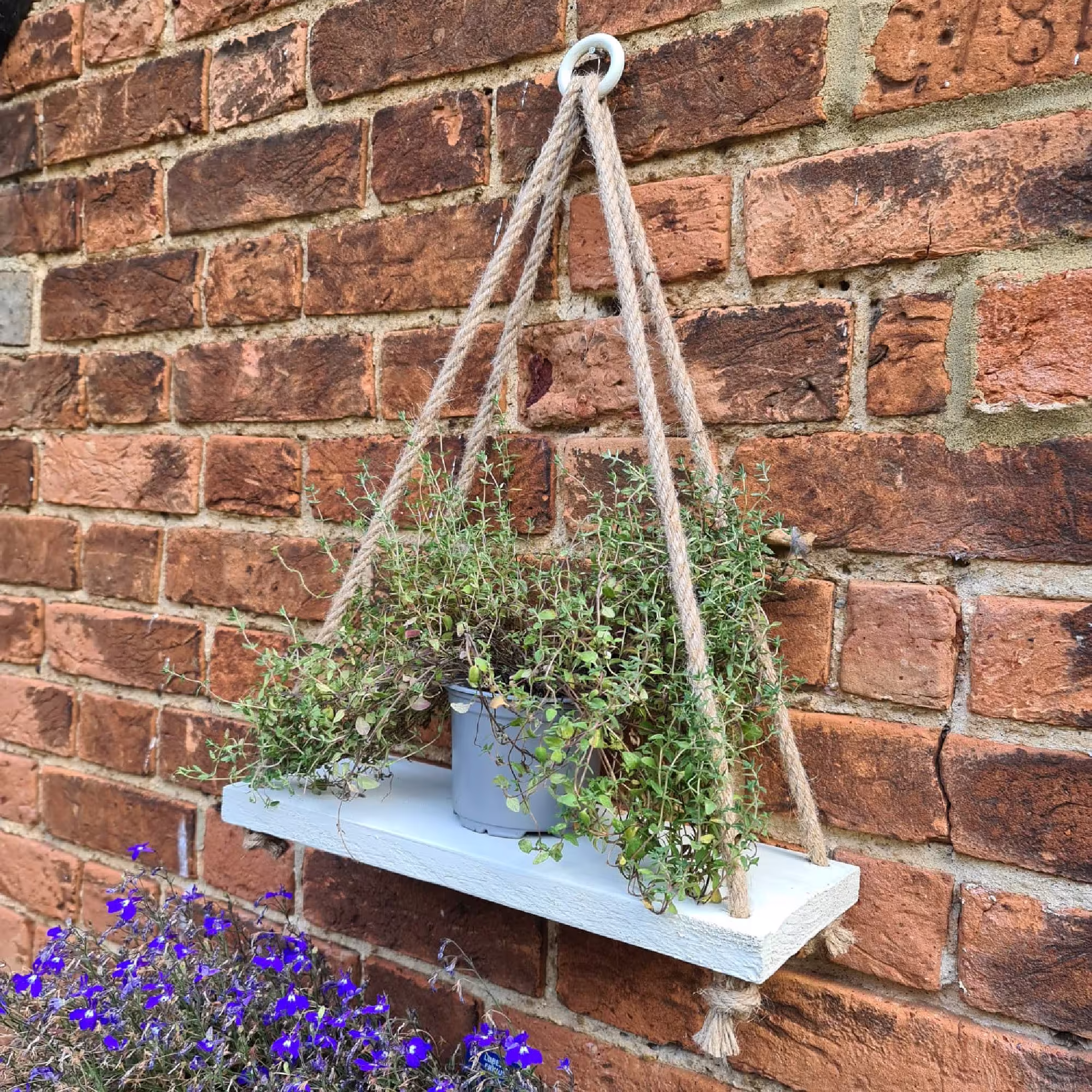 Hanging Wood Shelf With Rope Painted Off White For The Garden Bathroom Patio Or Kitchen Holds Herbs Flowers Plants Candles Bubble Bath