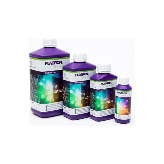 (5 LTR) GREEN SENSATION cheapest on the internet green sensation plagron