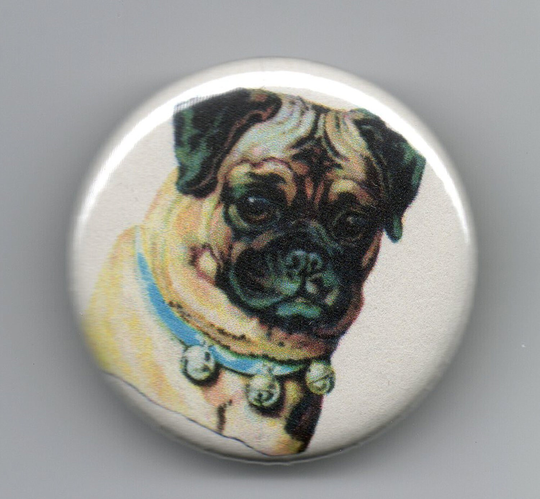 Adorable Pug 1.25 Inch Button Vintage Image