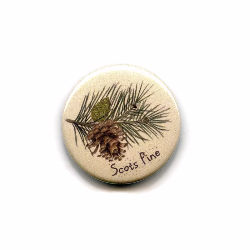 Scots Pine Fridge Magnet, 38mm Round Button Tree Leaves Magnets, Nuts, Fruits, Berries, Fircone