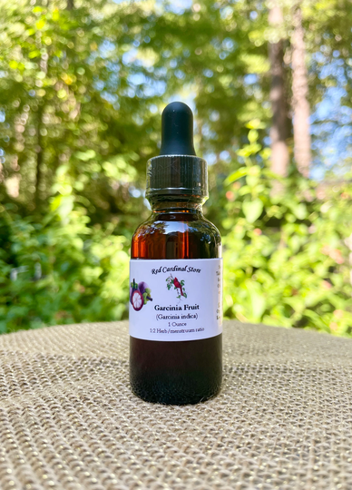 Garcinia Fruit | Indica Tincture Herb Extract Double Extraction