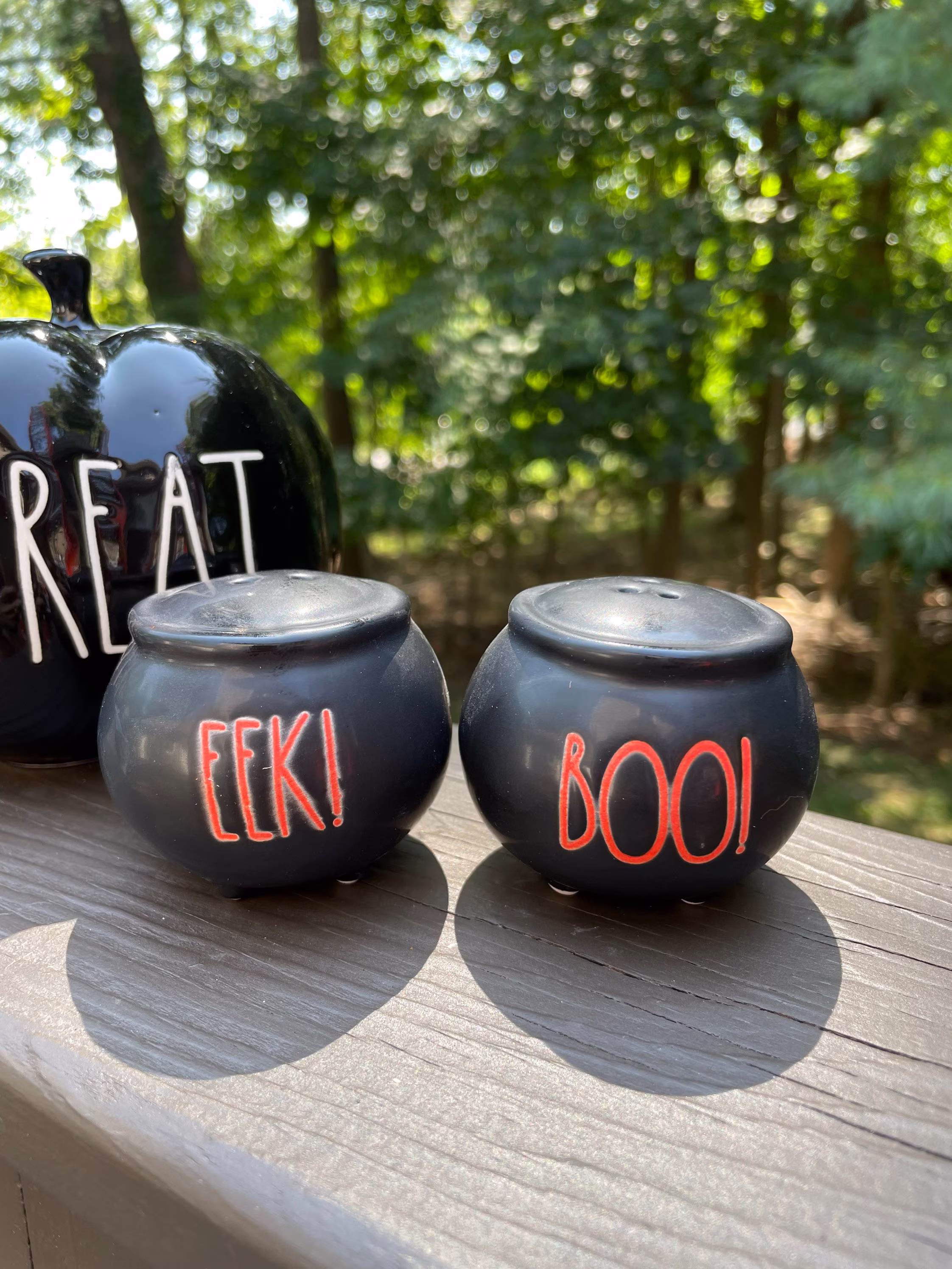 Cute Halloween Cauldrons Decor - Salt & Pepper Shaker Eek Boo Farmhouse Style Table Condiments Ceramic