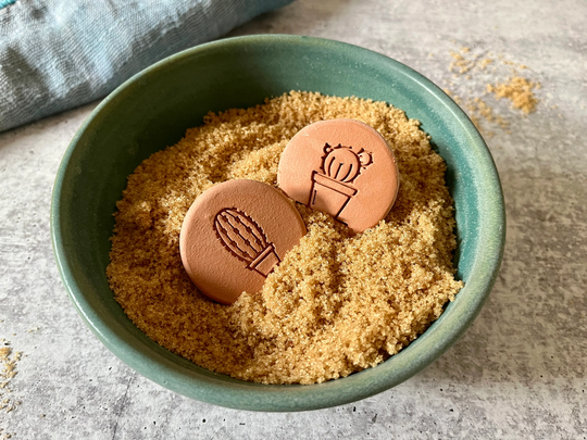 Set Of 2 Sugar Keepers/ Essential Oil Diffusers With Succulents - Set Ceramic Savers Cactus Potted Plants - Stocking Stuffer