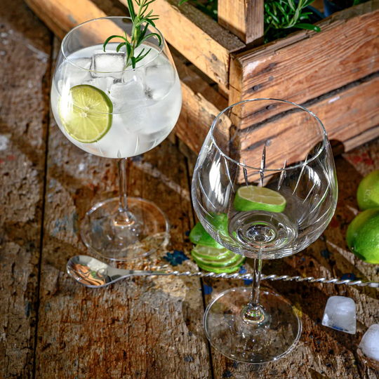 Linea 610ml Crystal Gin Balloon Glass