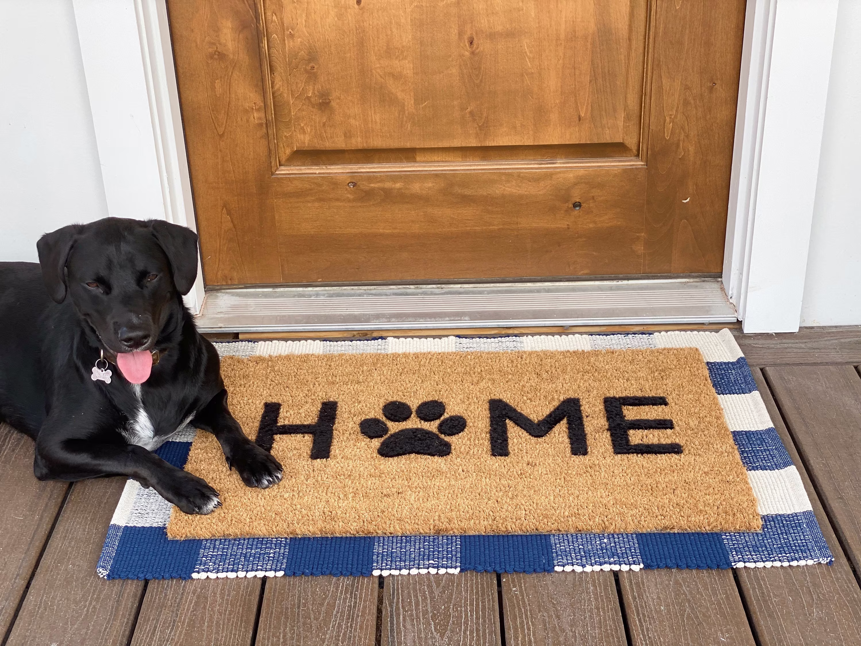 Home Dog Paw Print Doormat, Foot Print, Pet Lover Welcome Mat, Animal Puppy Door Entryway Decor, Gift, Double Size