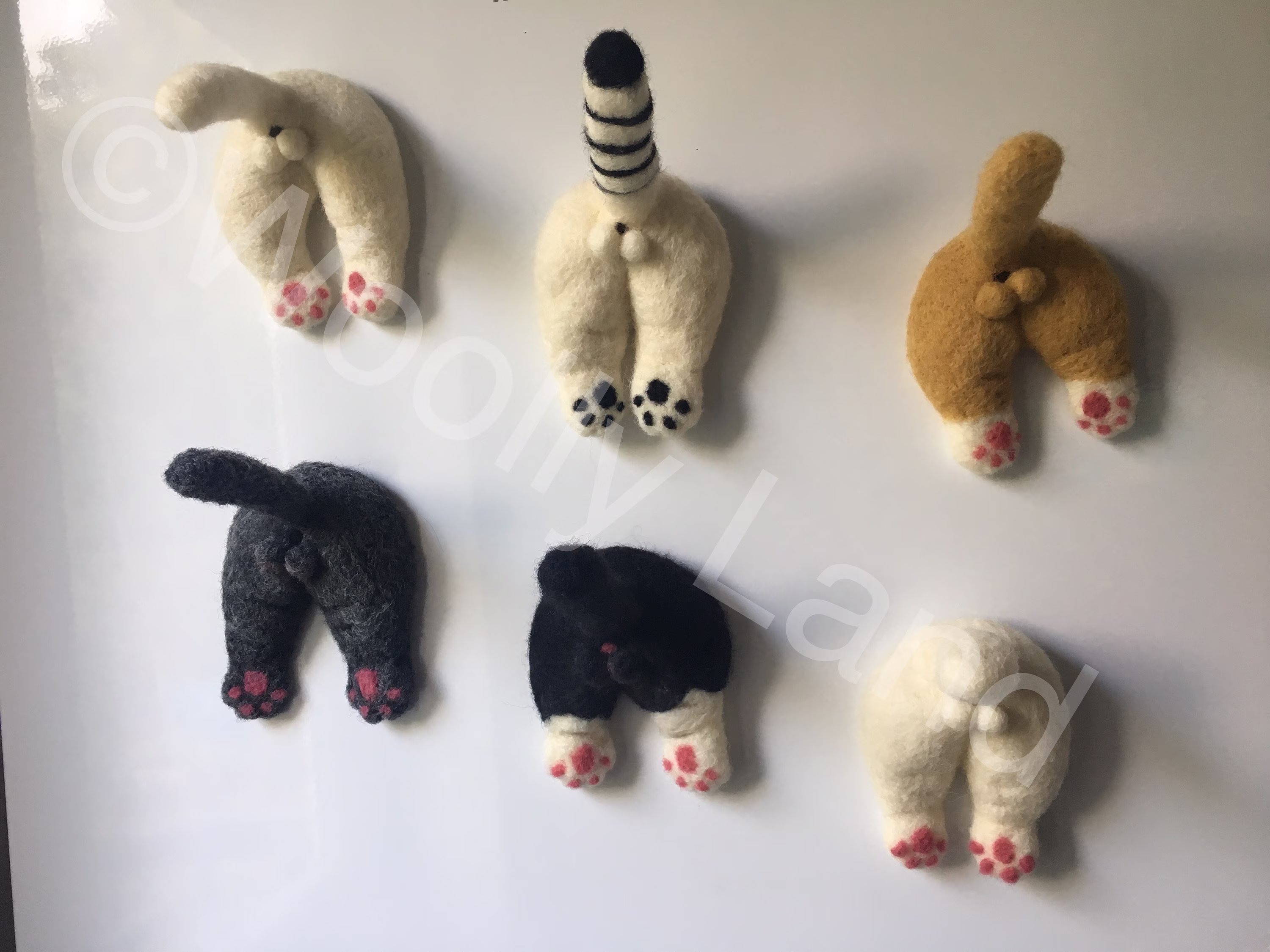 Cute & Funny Fridge Magnets - Cat's Bums