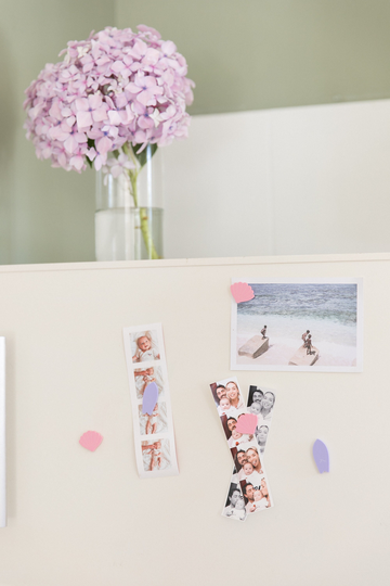 Pastel Seashell Magnets