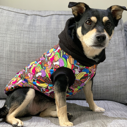 Lolly Bag Dog Hoodie/Hoodies Australian Made