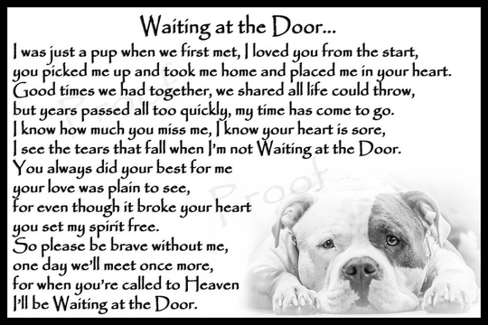 Pitbull Dog Memorial Magnetic Sympathy Card Pet Loss Bereavement Keepsake Gift