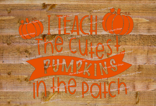 I Teach The Cutest Pumpkins in Patch Vinyl Decal Sticker ~ For Teacher Mug, Cup, Sign, Car Window