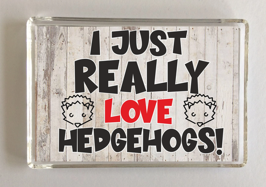 I Just Really Love Hedgehogs - Novelty Fridge Magnet, Ideal Present Gift For Birthday Christmas, Hedgehog Gift