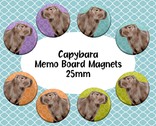 Capybara Memo Board Fridge Magnets 25mm | Pack Of 8, Magnets