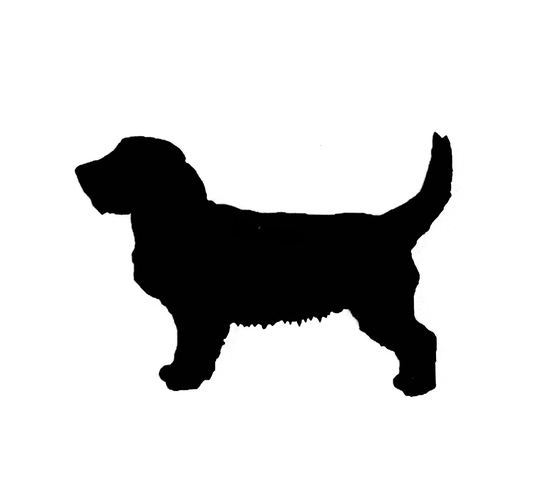 Basset Fauve De Bretagne Fridge Magnet in Black
