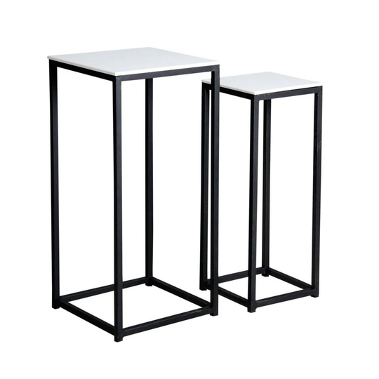 Wooden and Metal 2 Piece Plant Stand Set
