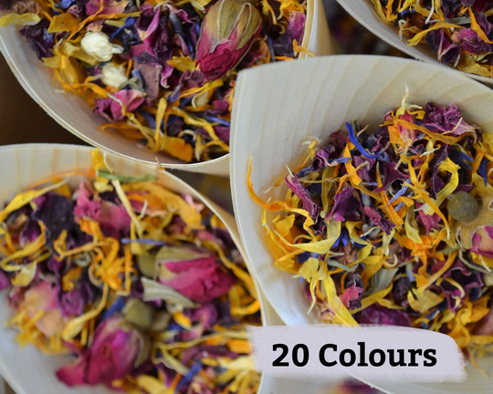 Dried Flower Confetti With Cones, Kit Biodegradable Wedding , Bamboo