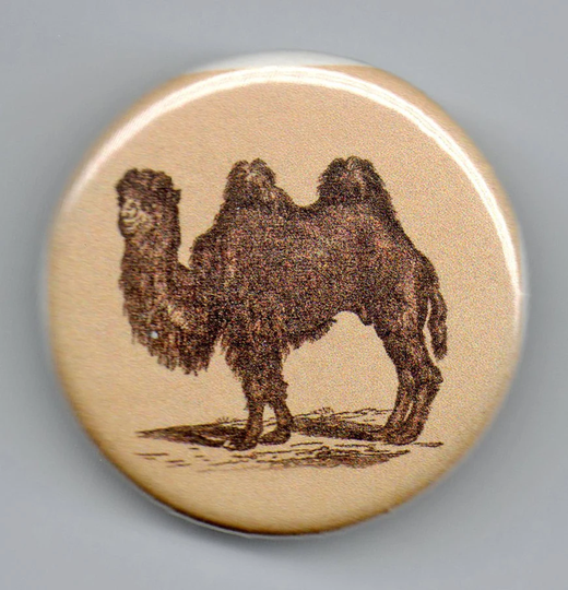 Dromedary/Camel 1.25 Inch Pinback Button Vintage Image