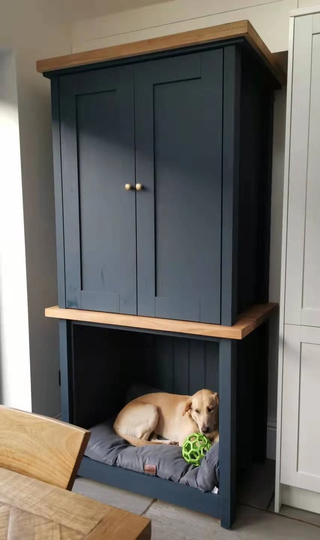 Dog House With Larder Pantry