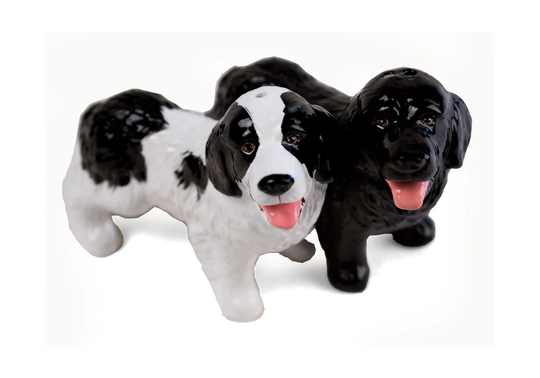 Newfoundland Handmade Cruet Set Mini Black & White | 6cm X 9cm