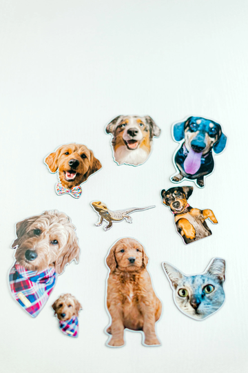 Custom Pet Magnets | Cute Animal Decorative Dog Cat Lover Gifts Fridge Magnet Collectors Item