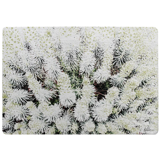 Davidson Beautifully Designer Shaggy White/Black Rug