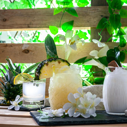 Six Coconut Glasses | Unusual Party-Ware Kitchenware Dining Cocktail Glass Boba Popping