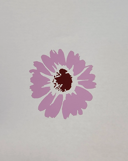 Daisy, Coneflower, Echinacea Vinyl Decal - Free Shipping Car Window Decal, Laptop Sticker, Wine Glass Yeti, Helmet, Phone