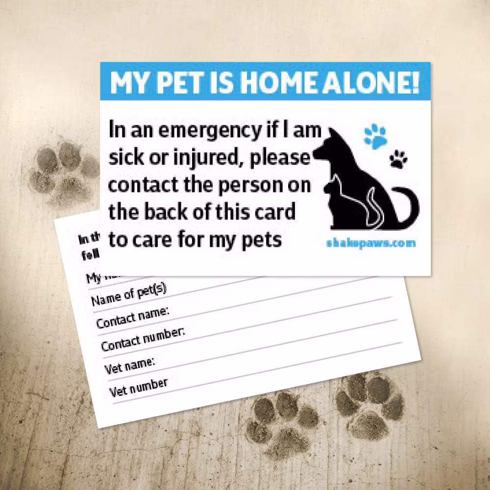 Shake Paws' Home Alone Pet Safety Card, Christmas Gifts, Ice