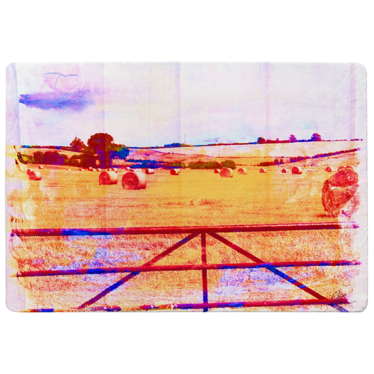 Louisburg Hay Bale Vibe Designer Shaggy Orange/Pink Rug