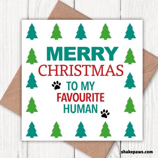 Merry Christmas To My Favourite Human Greetings Card, Dog Lovers, Pet Lovers