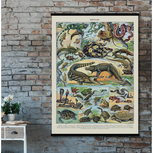 'Reptiles' Graphic Art Print Poster