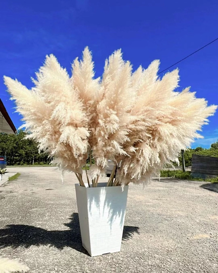 15Pcs Tall Pampas Grass 3-4Ft | Grand Sale Dry Florals For Home Decor Boho Wedding Arch Floral Arranging Pampas Bouquet
