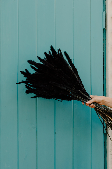 Thin 2Ft Midnight Navy Pampas Grass