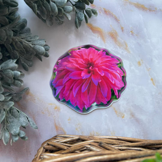 Pink Dahlia Flower Sticker Or Magnet | Laptop Waterbottle Gift For Friend Pretty Notebook Mom