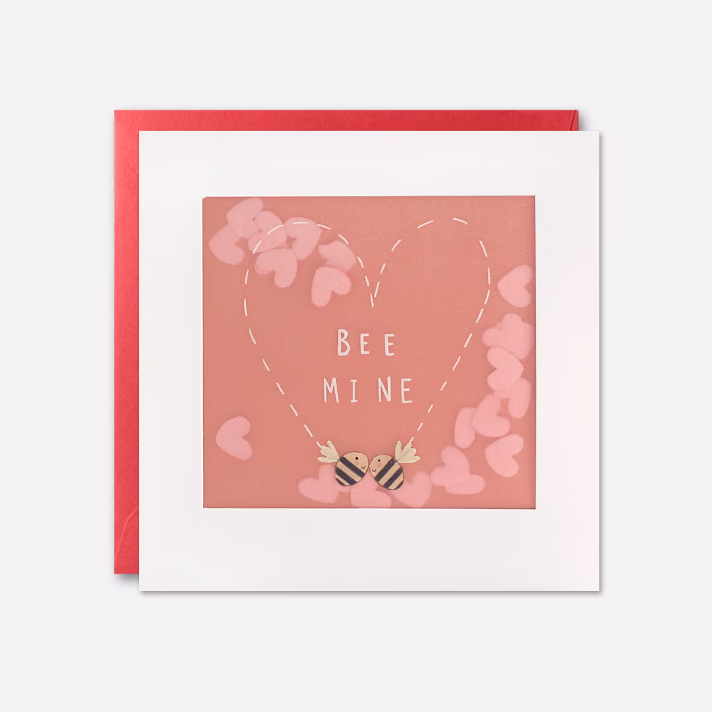 Bee Mine Valentine's Day Card With Paper Confetti - Shakies By James Ellis