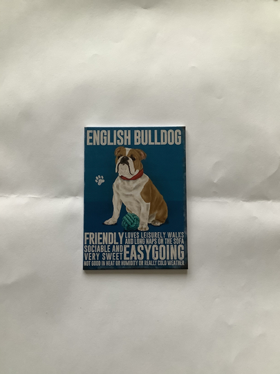 English Bulldog - Quality Metal Fridge Magnet