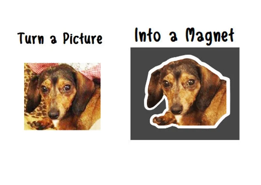 Animated Cartoon Turn Any Picture Into A Magnet - Custom Personalized Add Text, Colors, Your Image, Ideas