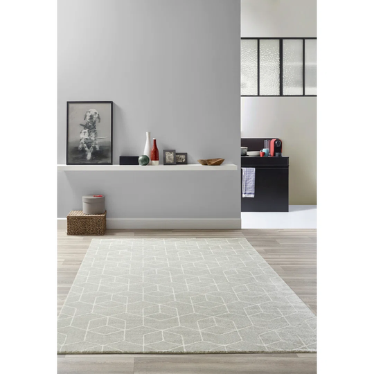 Rayna Shaggy Beige Rug