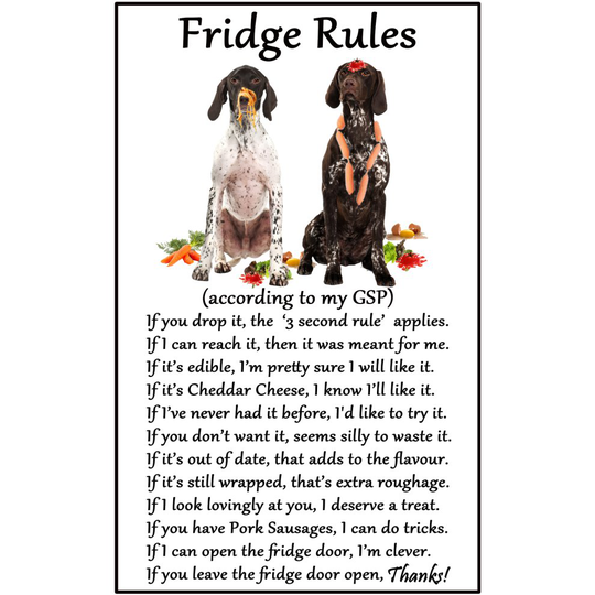 German Shorthaired Pointer Dog Gift - Fridge Rules - Large Fun flexible Fridge Magnet- size 16cms x 10 cms (approx. 6" x4")