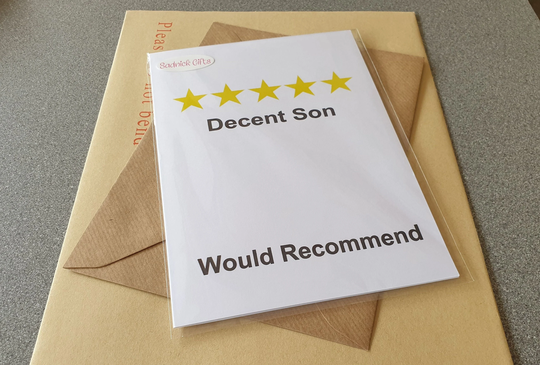 Son Birthday Card - Decent Would Recommend Fun Novelty Greetings Sadnick Gifts
