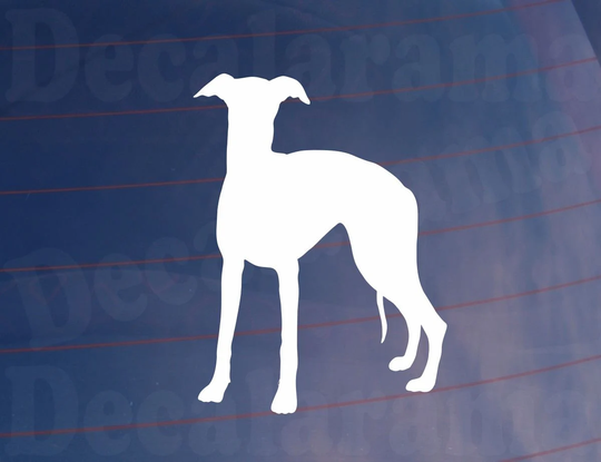Car Sticker Whippet Silhouette Funny Novelty Cute Van Window Bumper Boot Door Dog Decal