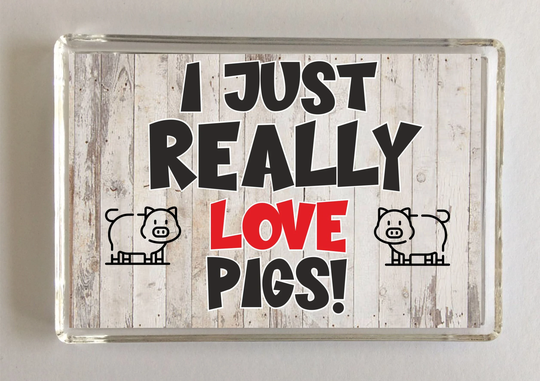 I Just Really Love Pigs, Novelty Fridge Magnet, Ideal Present Gift For Birthday Christmas, Pig Gift, For Lover