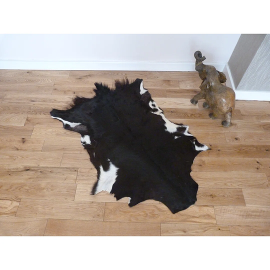 Santistevan Black/White Rug