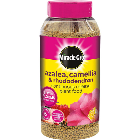 Miracle-Gro Continuous Release Plant Food Shaker Jar 1kg - Azalea, Camellia & Rhododendron Plant Food