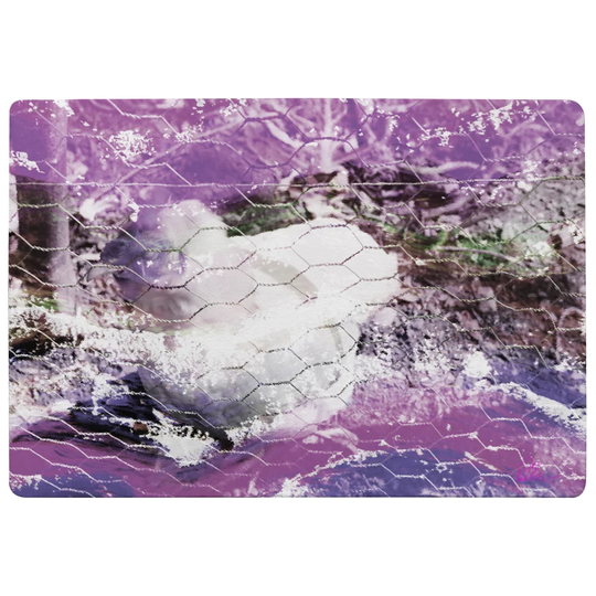 Dorland Chicken Designer Shaggy Purple/Ivory Rug