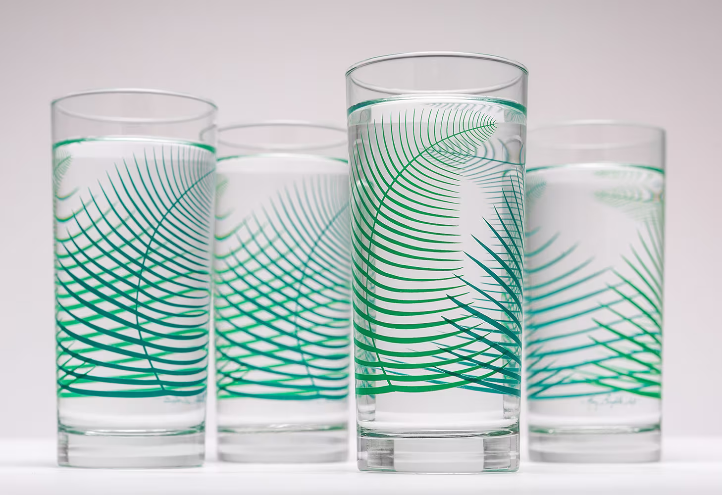 Green Fern Cocktail Glasses - Highball Glassware, Tropical Hostess Gift, Silkscreened Barware