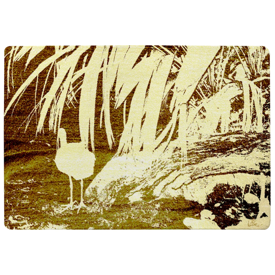 Stevenson Pretty Bird Designer Shaggy Yellow Rug