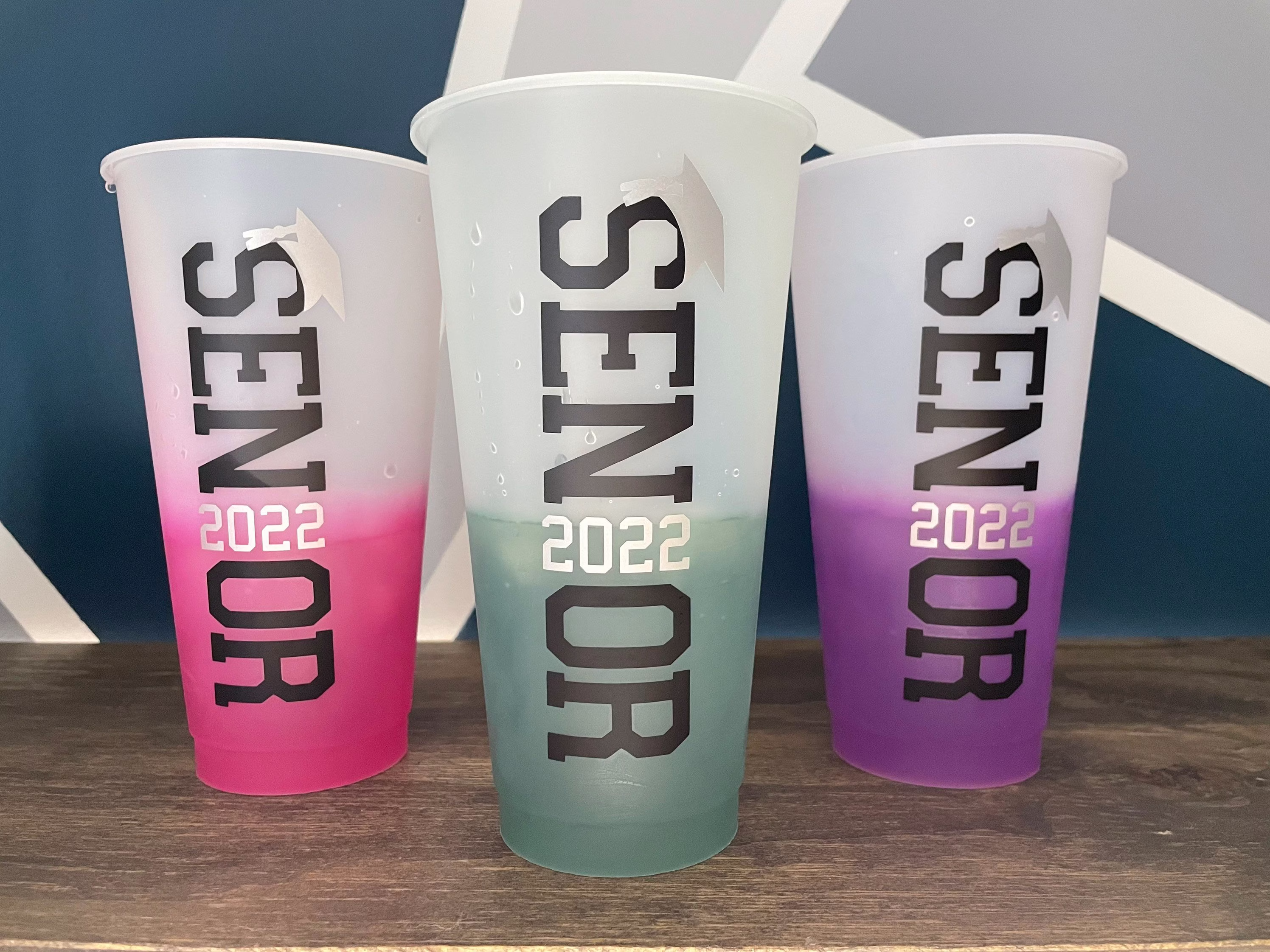 Senior 2022 Tumbler, Color Changing Senior Cup, Graduation Tumbler