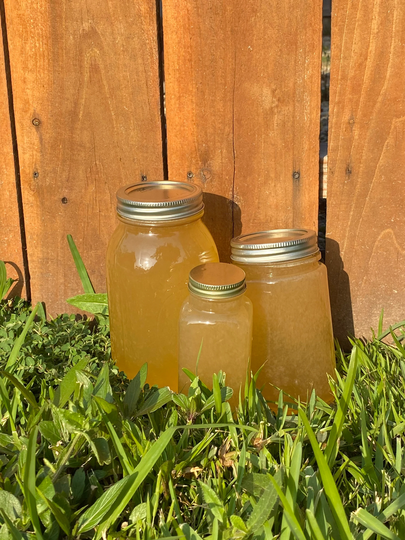 Fungus Gnat Soak & Bait For Plants, Houseplants, Homes, Mosquitos, Fruit Flies, Organic, Natural, Recycled