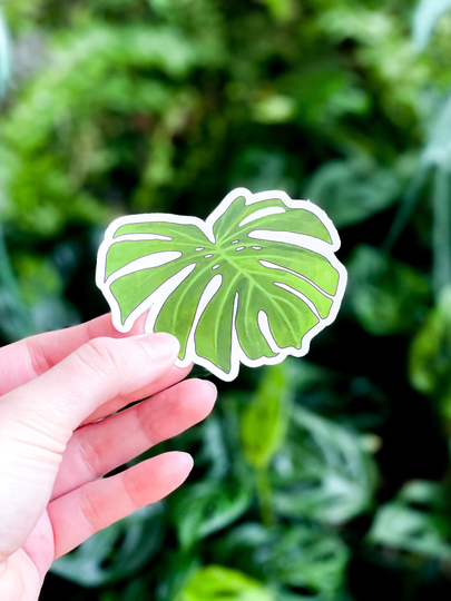Monstera Plant Leaf Sticker, Deliciosa Watercolor Houseplant Art Accessory, Vinyl Decal For Laptop, Nalgene Water Bottle, Planner