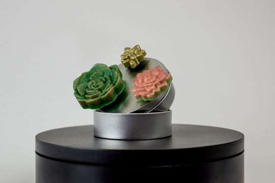 Succulent Magnet Set